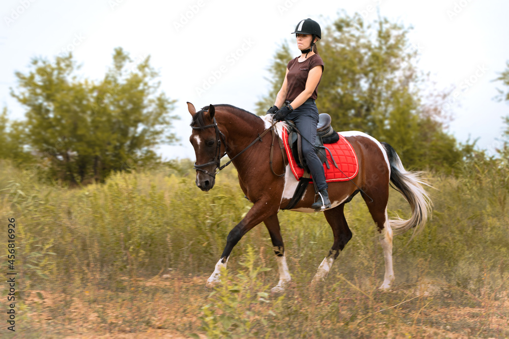 Girl rides a pinto horse at a trotting in the field
