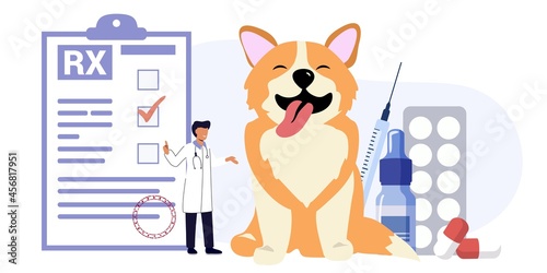 Pet vet veterinary doctor animal clinic Dog pills flat icon Veterinary hospital services and domestic animals hotels Dogs grooming and health check center Vet clinic Pet services sitters metaphors