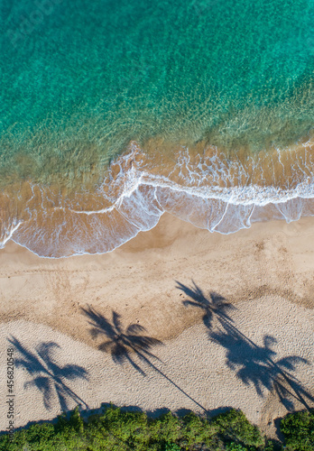 aerial photo of beach with palm shadows