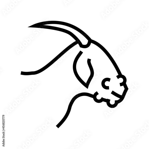 orf virus line icon vector. orf virus sign. isolated contour symbol black illustration