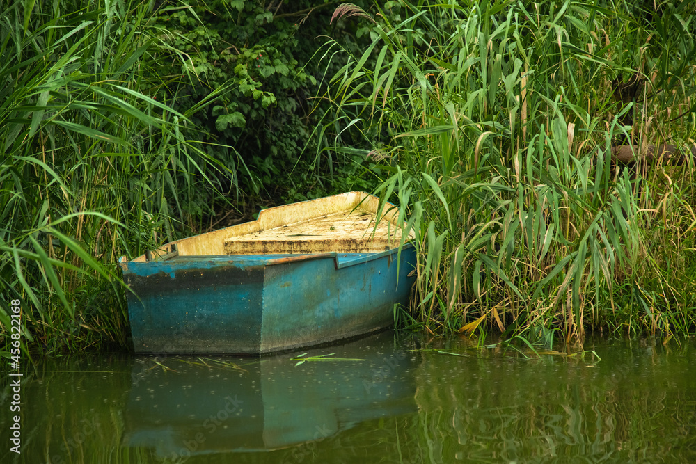 Blue wooden boat anchored near the shore among willow foliage Blue wooden boat anchored near the shore among willow foliage