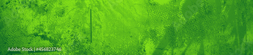 abstract green bright color background for design © Tamara