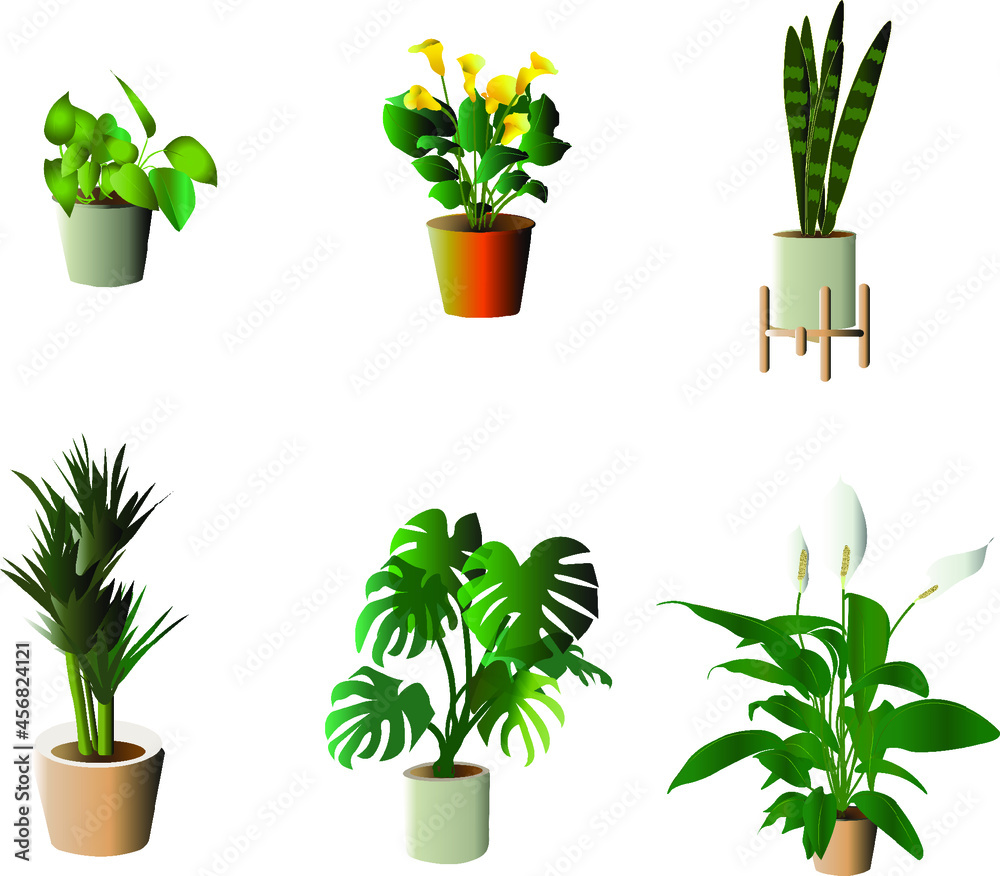 Set of colorful potted plants. Collection of plants for the home ...