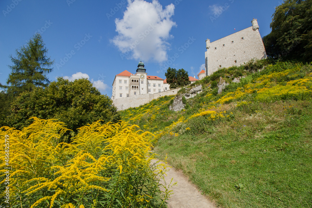 Castle on Pieskowa Rock in Ojcow city - National Park