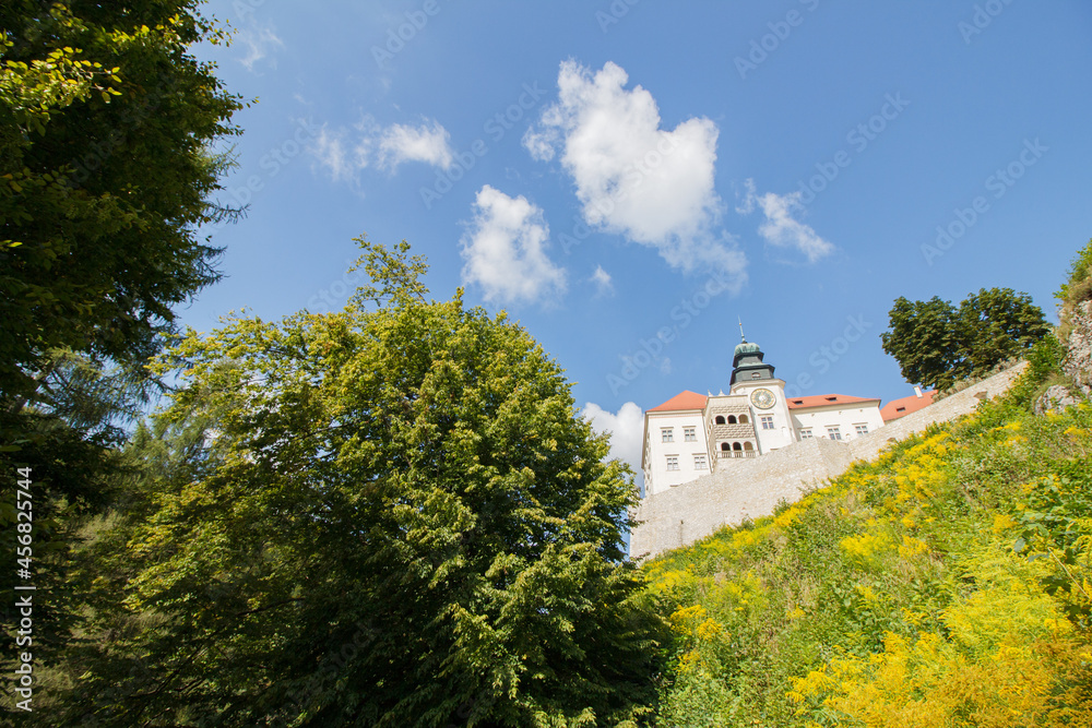 Castle on Pieskowa Rock in Ojcow city - National Park	
