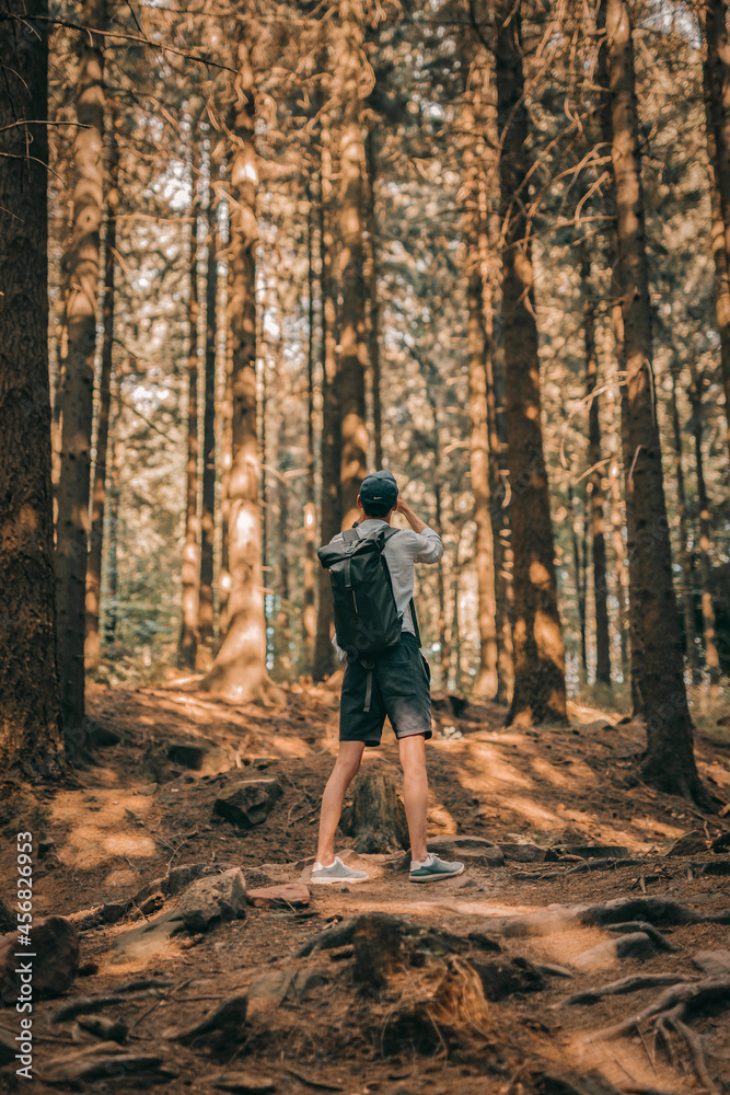 person walking in the woods