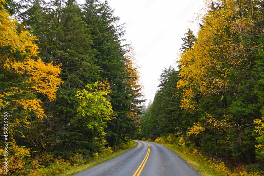 Obraz premium Fall foliage on the Going-to-the-Sun road, Glacier National Park, Montana 