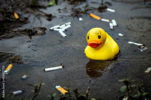 Weathered rubber duck in cigarette butt filled puddle photo