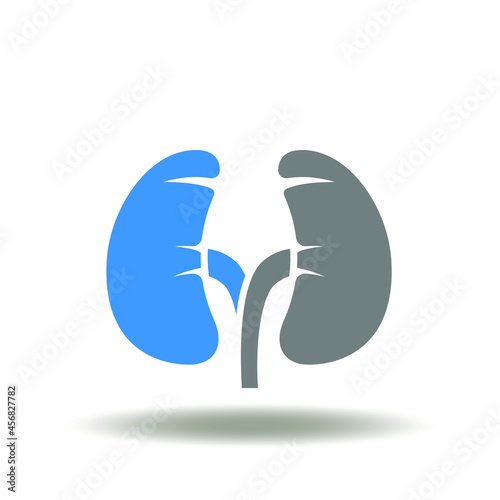 Kidneys and adrenal glands vector illustration. Endocrine system human organ symbol.