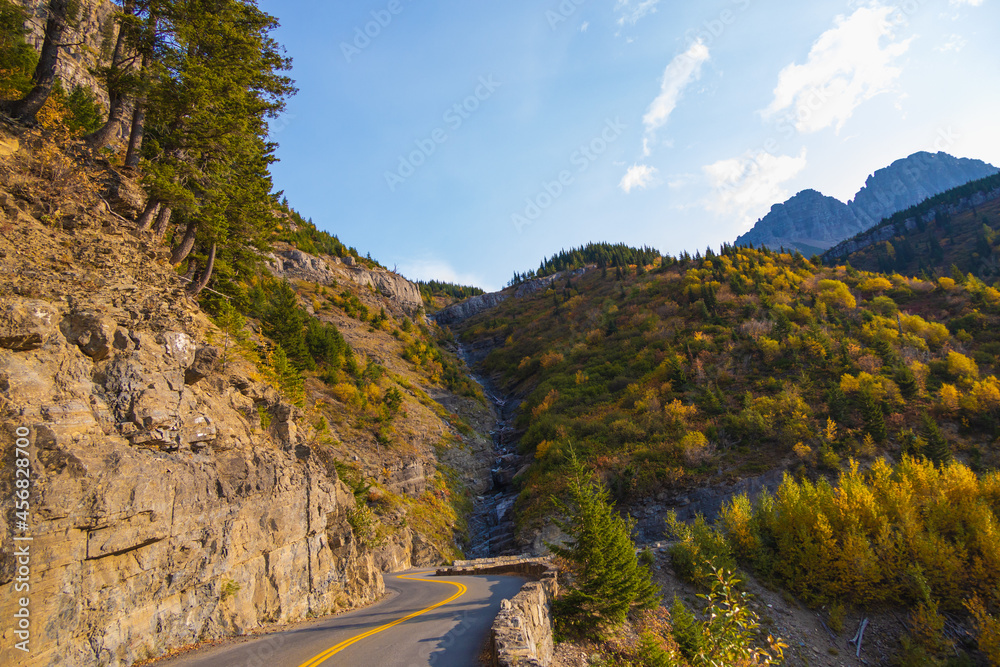 Fall foliage on the Going-to-the-Sun road, Glacier National Park, Montana
Fall foliage on the Going-to-the-Sun road, Glacier National Park, Montana