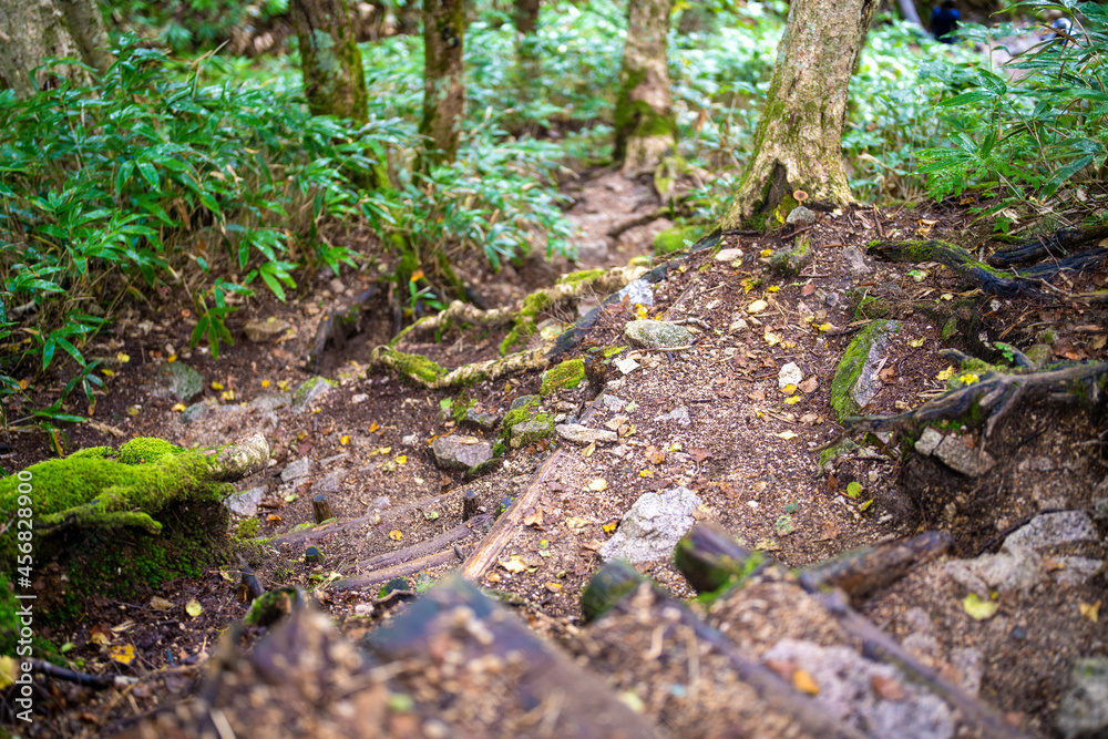 長野県安曇野市にある燕岳を登山する風景 A view of climbing Mt. Tsubame in Azumino City, Nagano Prefecture. 長野県安曇野市にある燕岳を登山する風景 A view of climbing Mt. Tsubame in Azumino City, Nagano Prefecture.