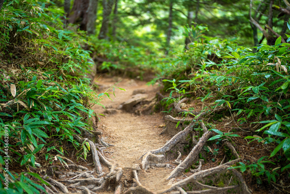長野県安曇野市にある燕岳を登山する風景 A view of climbing Mt. Tsubame in Azumino City, Nagano Prefecture. 長野県安曇野市にある燕岳を登山する風景 A view of climbing Mt. Tsubame in Azumino City, Nagano Prefecture.
