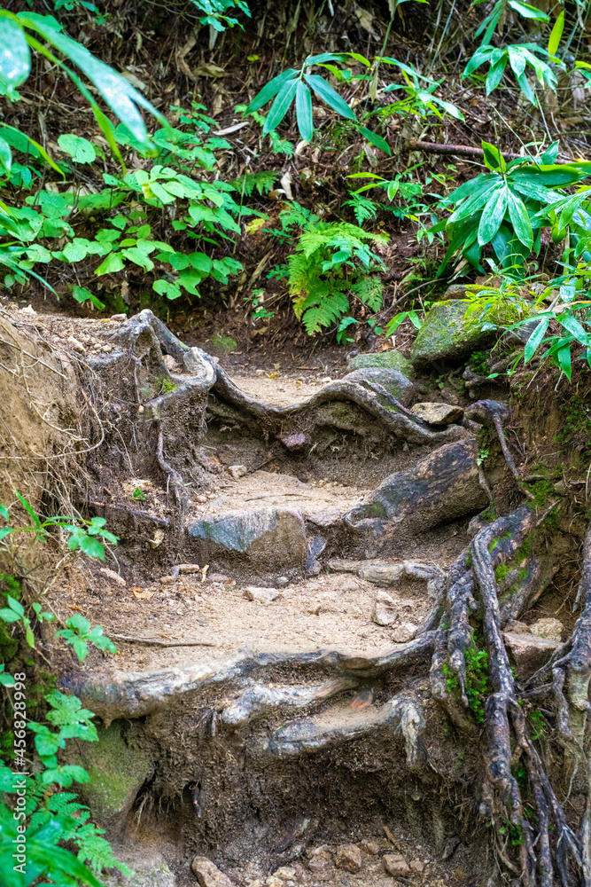 長野県安曇野市にある燕岳を登山する風景 A view of climbing Mt. Tsubame in Azumino City, Nagano Prefecture. 長野県安曇野市にある燕岳を登山する風景 A view of climbing Mt. Tsubame in Azumino City, Nagano Prefecture.