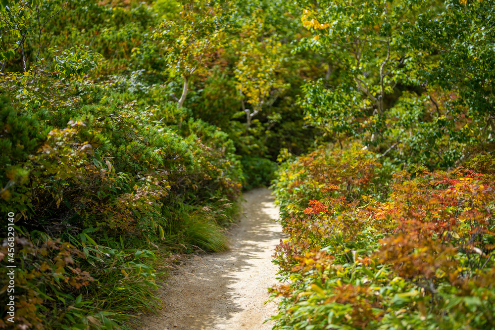 長野県安曇野市にある燕岳を登山する風景 A view of climbing Mt. Tsubame in Azumino City, Nagano Prefecture. 長野県安曇野市にある燕岳を登山する風景 A view of climbing Mt. Tsubame in Azumino City, Nagano Prefecture.