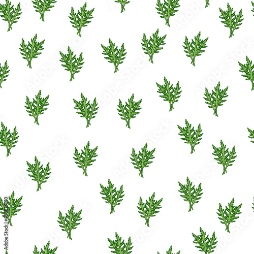 Seamless pattern bunch arugula salad on white background. Simple ornament with lettuce.