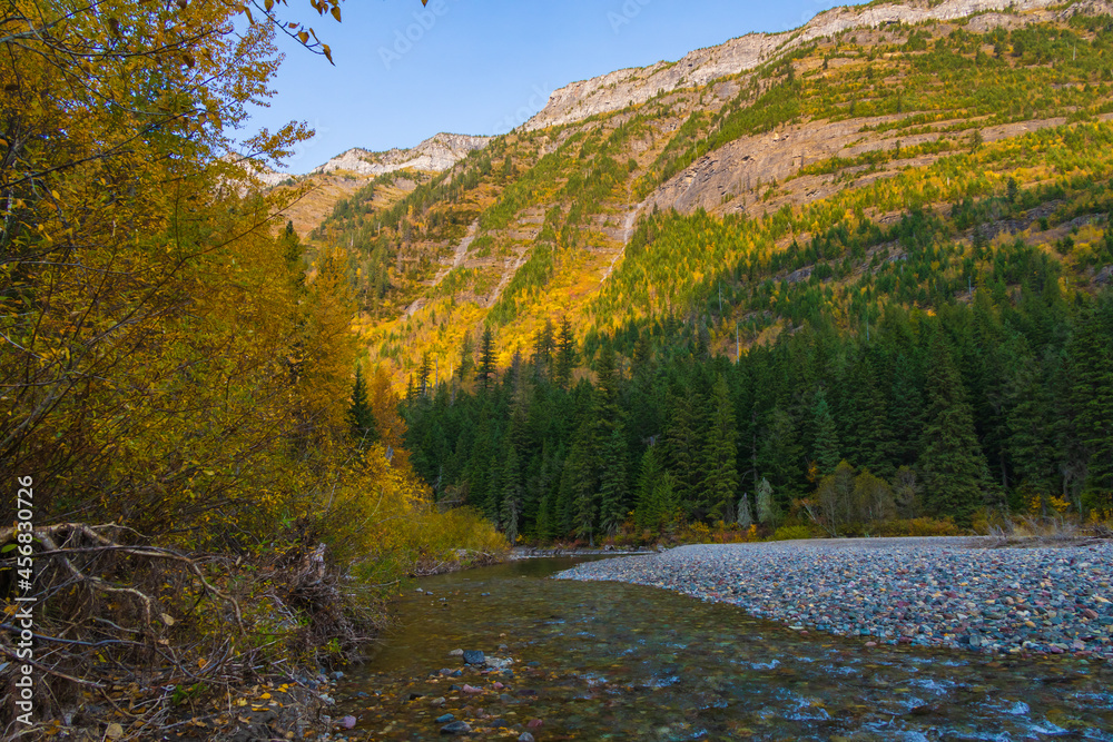 River and fall foliage at Glacier National Park, Montana, USA River and fall foliage at Glacier National Park, Montana, USA
