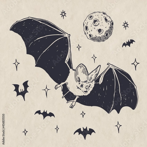 hand drawn halloween bat illustration