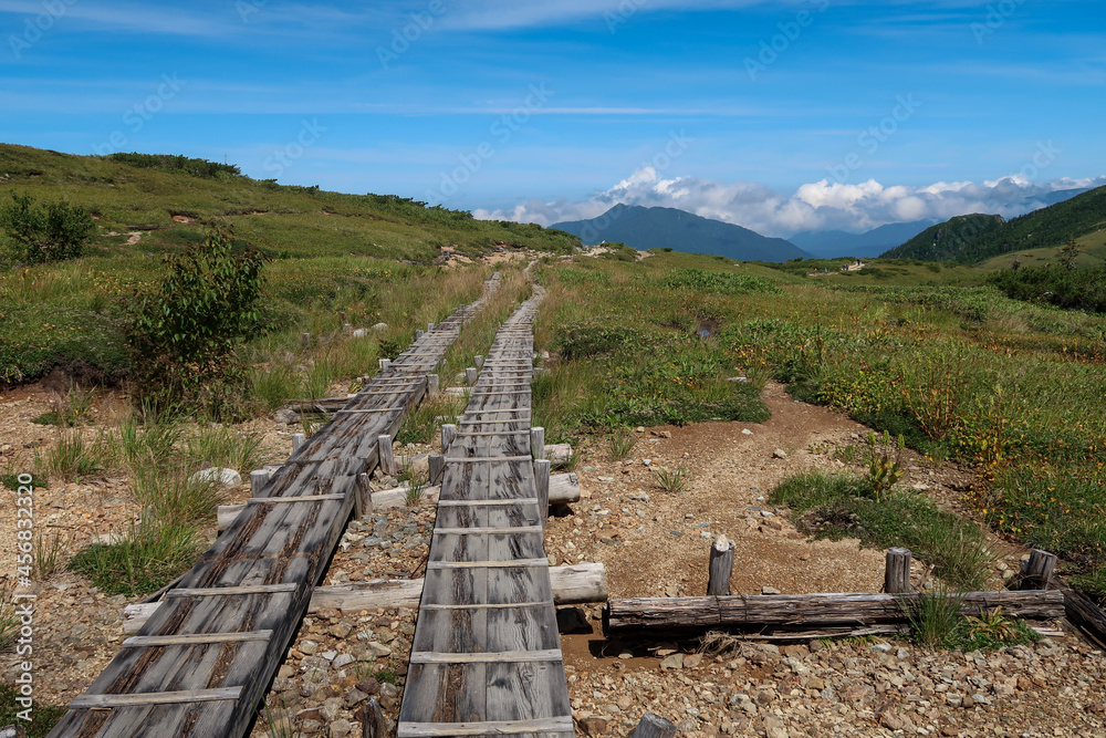 日本の百名山の薬師岳の登山道