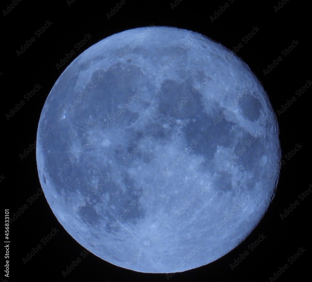 Fototapeta premium Blue Moon