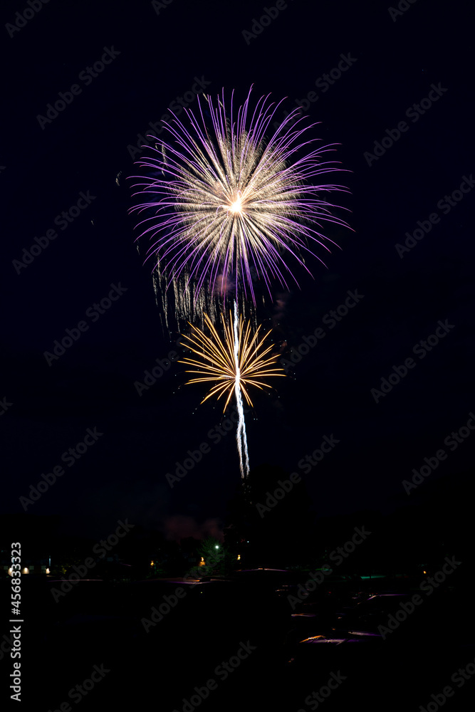 Independence Day Celebration  Fireworks Festivities