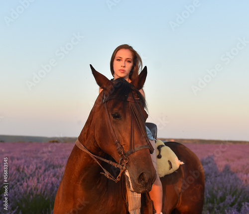 a blonde model riding a horse in a lavender field © alberto