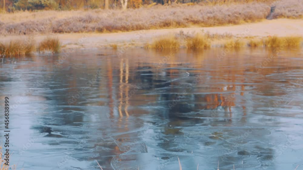 Frozen lake and forest in Veluwe National Park, Netherlands, wide shot tilt up Frozen lake and forest in Veluwe National Park, Netherlands, wide shot tilt up