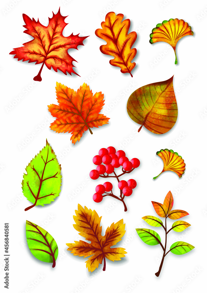 autumn watercolor leaves vector set illustration