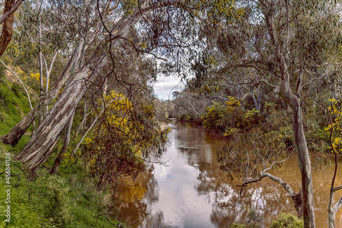 Photography Yarra River Trail, Kew, Melbourne, Australia
