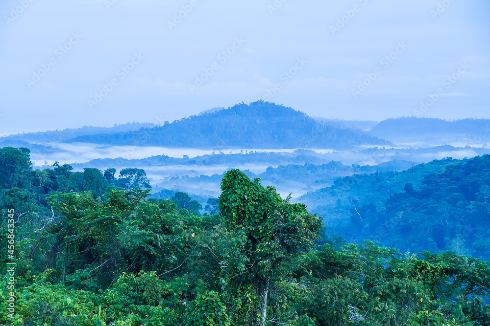 Landscape Form Kasali Mountain 