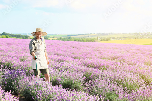 Farmer watering beautiful lavender field