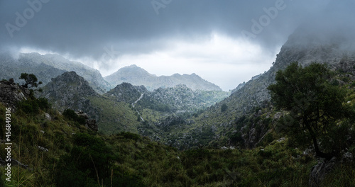 Berglandschaft im Nebel