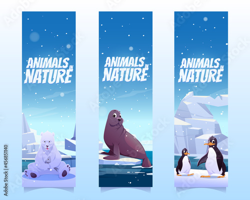 Bookmarks with penguins, polar bear and seal on floe in sea. Vector vertical banners of animals in nature with cartoon illustration of wild animals of Antarctica, North pole and Alaska