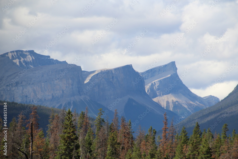 Dark Mountains, Jasper National Park, Alberta