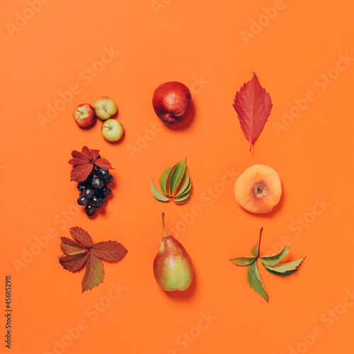 Autumn fruits apples pears grapes fallen leaves lined with pattern orange background. Autumn vintage flat layout