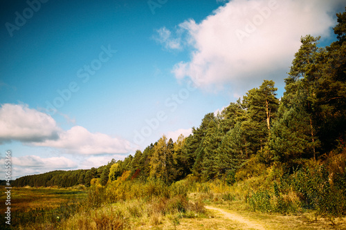 Russian forests, beautiful color landscape, nature photography on an old film camera, noise and grain