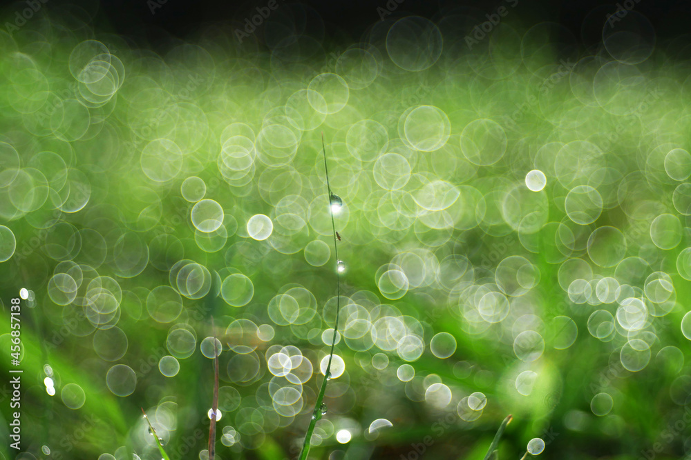 Bubble bokeh or out focus for nature Background. 