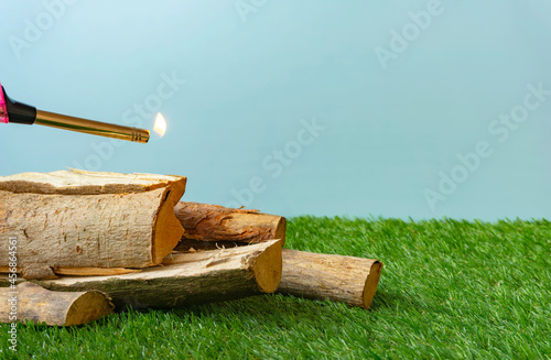 Firewood on the lawn. 芝生の上の薪	

