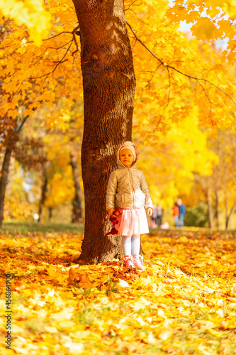Cute little girl child in fashionable clothes with a toy stands near a tree with fall yellow foliage on a sunny autumn day.