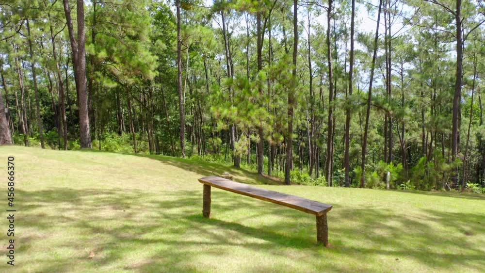 Wooden Bench On A Hill With Lush Green Forest In The Background On A Sunny Day. - aerial pullback Wooden Bench On A Hill With Lush Green Forest In The Background On A Sunny Day. - aerial pullback