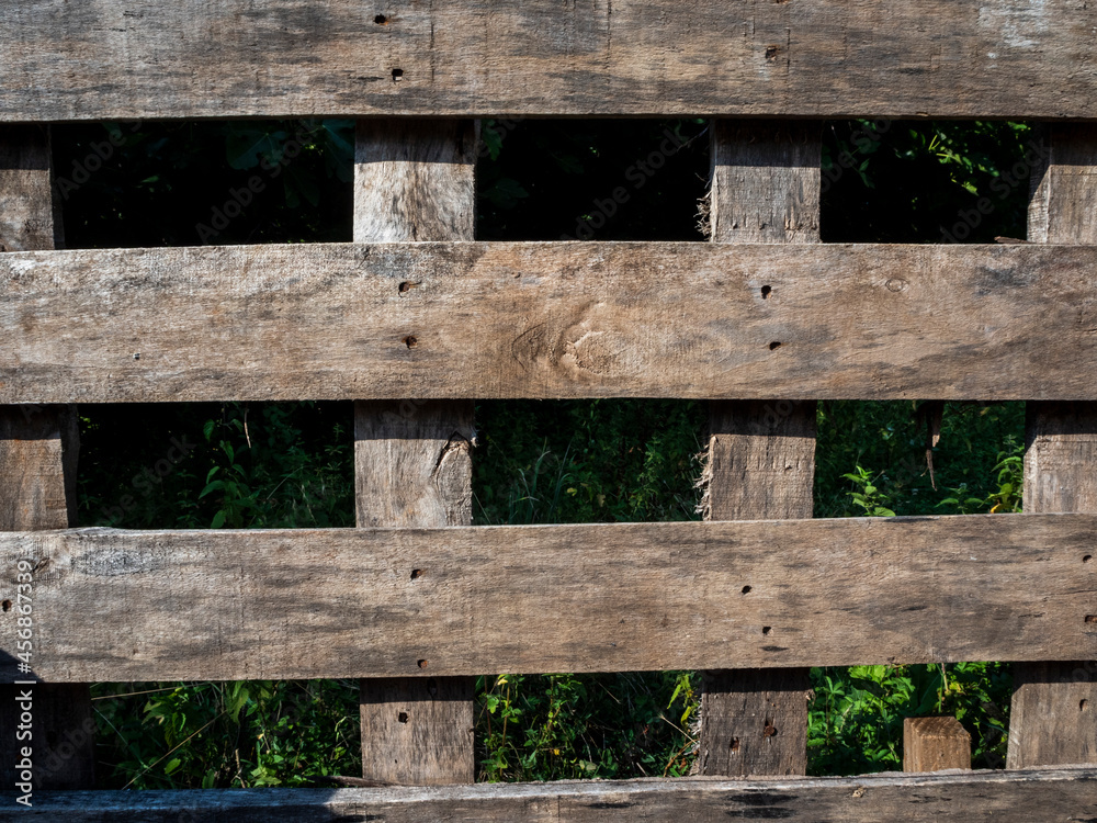 old wooden door with background trees