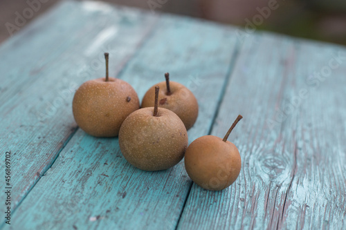 wild brown autumn bio organic pears isolated on a table. photo