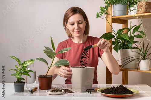 Woman replanting a young ficus plant into a new flowerpot. Young beautiful woman caring for potted indoor plants. Engaging hobby