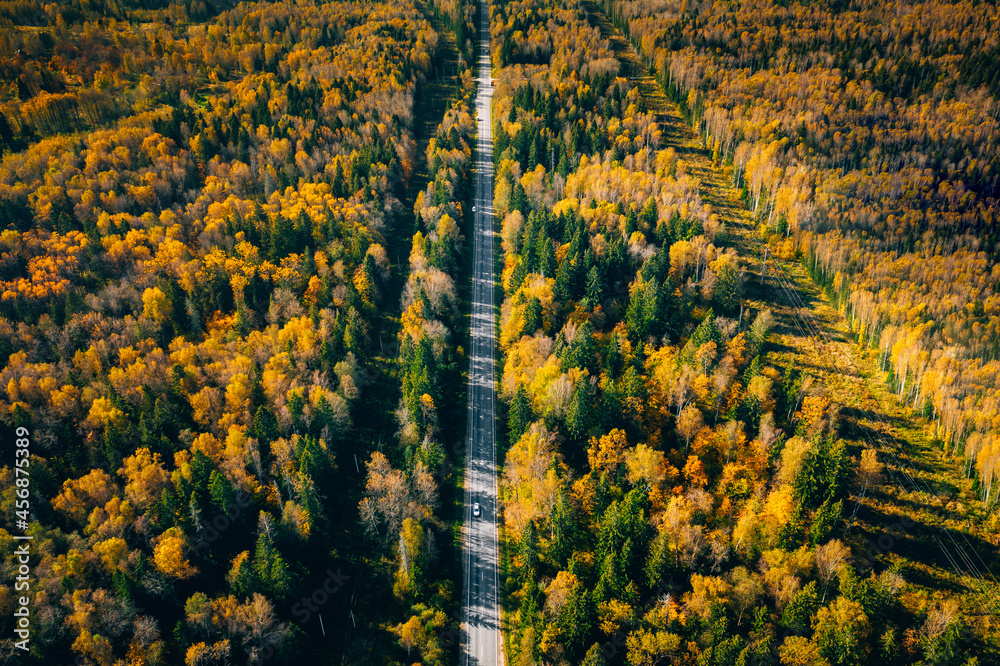 Aerial view of road in autumn forest with red and orange leaves. Fall road with golden colors in the woods.