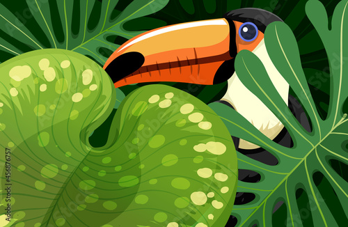 Toucan bird hidden in the jungle