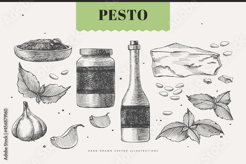 Set of products and spices for pesto sauce. Hand-drawn Parmesan cheese, a can of sauce, basil leaves, cloves of garlic, bottle of oil. It can be used as a design element for markets, menus, packaging.