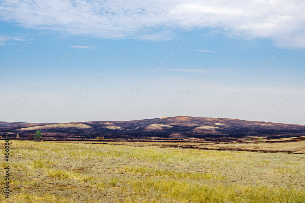 After the steppe fire. Sol-Iletsk district of the Orenburg region, Russia
