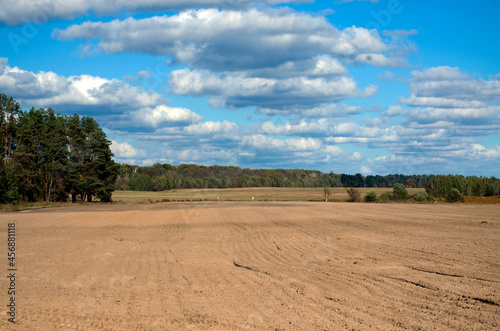 clean plowed agricultural field with blue sky on the horizon