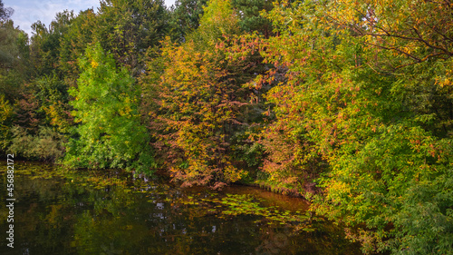 Autumn forest in warm colors on the shore of an abandoned lake