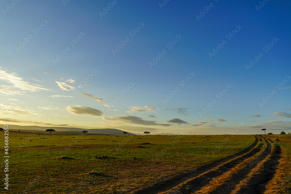 Early morning scenery of the savanna with ruts illuminated by a beautiful sunrise (Masai Mara National Reserve, Kenya)