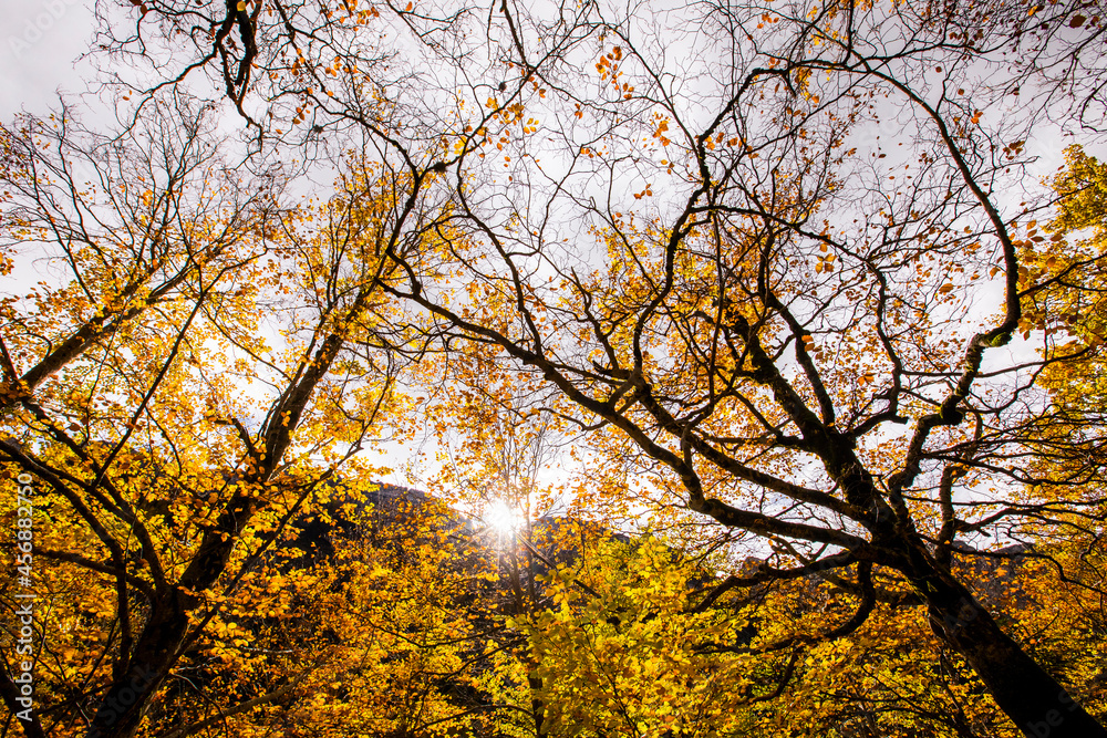 Fototapeta premium Autumn in Ordesa and Monte Perdido National Park, Spain